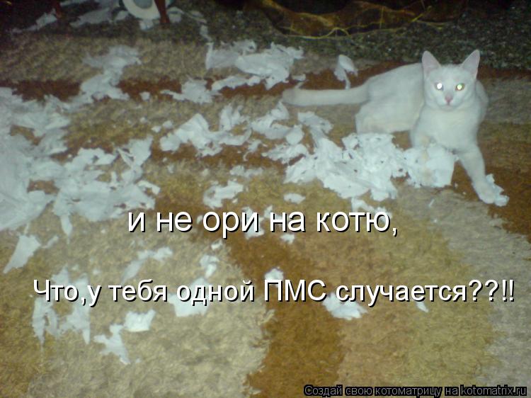 и не ори на котю, Что,у тебя одной ПМС случается??!!... Котоматрица: и не ори на котю, Что,у тебя одной ПМС случается??!!