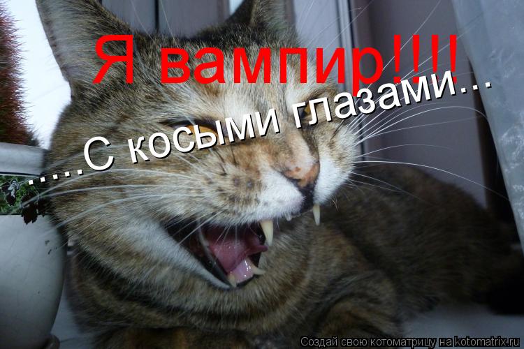 Я вампир!!!! .....С косыми глазами...... Котоматрица: Я вампир!!!! .....С косыми глазами...