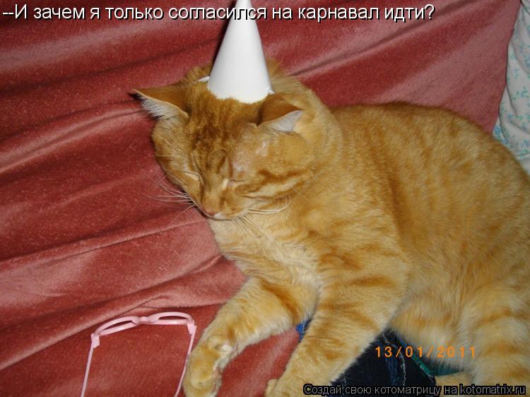 --И зачем я только согласился на карнавал идти?... Котоматрица: --И зачем я только согласился на карнавал идти?