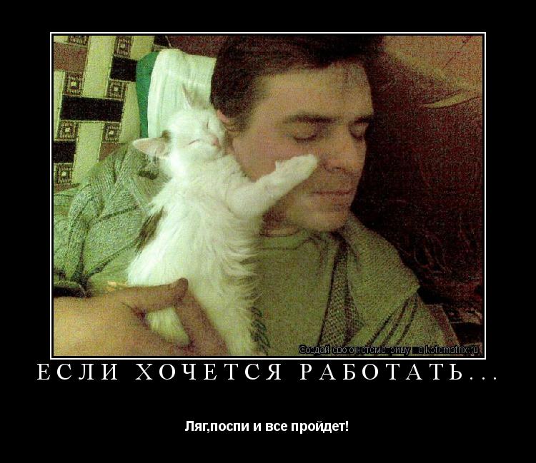 Если хочется работать... Ляг,поспи и все пройдет!... Котоматрица: Если хочется работать... Ляг,поспи и все пройдет!