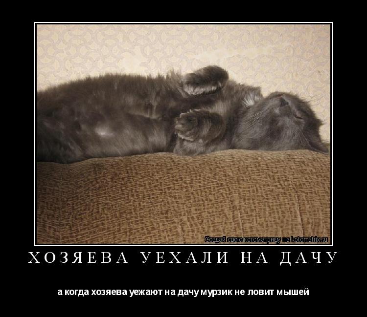 хозяева уехали на дачу а когда хозяева уежают на дачу мурзик не ловит мышей... Котоматрица: хозяева уехали на дачу а когда хозяева уежают на дачу мурзик не ловит мышей