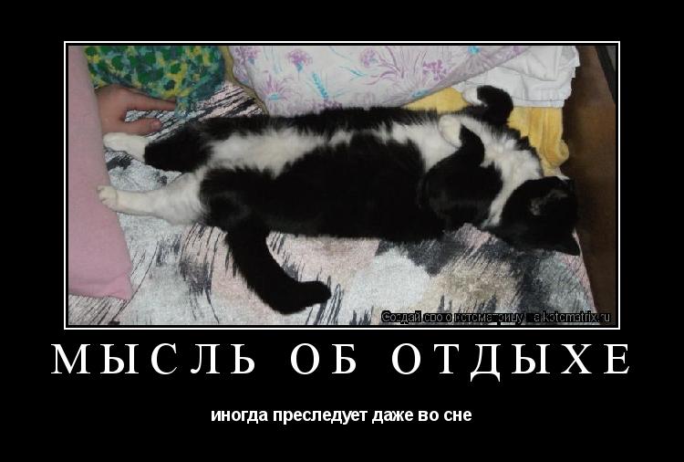 МЫСЛЬ ОБ ОТДЫХЕ иногда преследует даже во сне... Котоматрица: МЫСЛЬ ОБ ОТДЫХЕ иногда преследует даже во сне