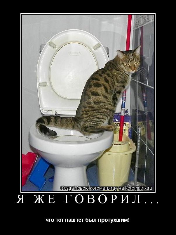 Я же говорил... что тот паштет был протухшим!... Котоматрица: Я же говорил... что тот паштет был протухшим!