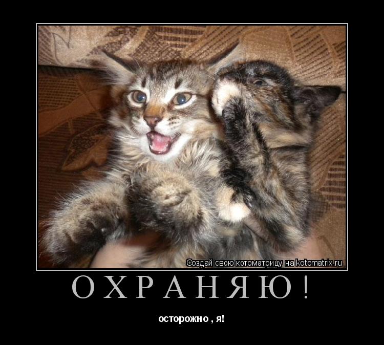 Котоматрица: охраняю! осторожно , я!