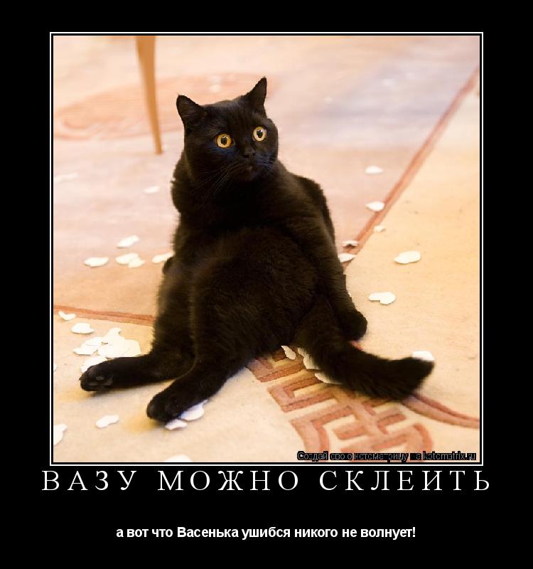 ВАЗУ МОЖНО СКЛЕИТЬ а вот что Васенька ушибся никого не волнует!... Котоматрица: ВАЗУ МОЖНО СКЛЕИТЬ а вот что Васенька ушибся никого не волнует!