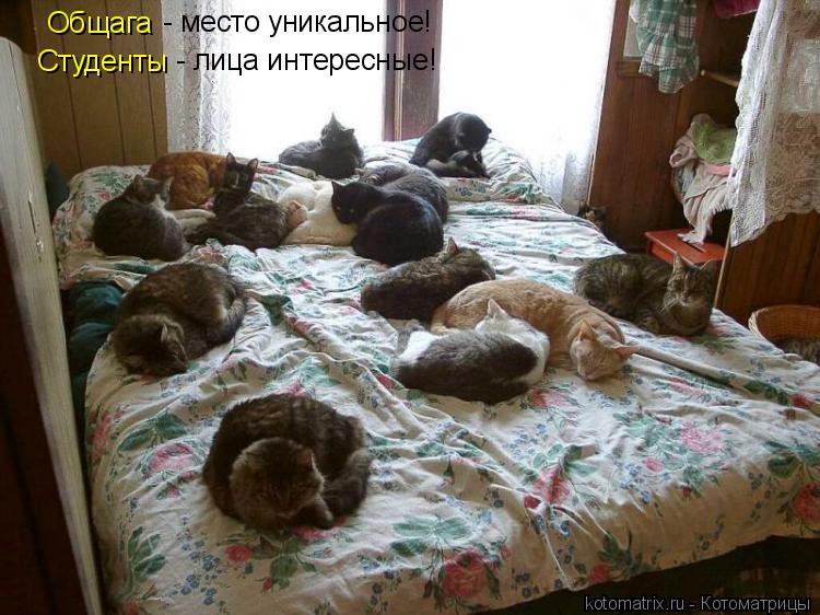 Общага - место уникальное! Студенты - лица интересные!... Котоматрица: Общага - место уникальное! Студенты - лица интересные!