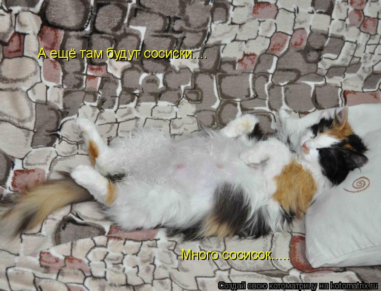 А ещё там будут сосиски.... Много сосисок........ Котоматрица: А ещё там будут сосиски.... Много сосисок.....