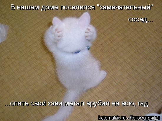 В нашем доме поселился "замечательный" сосед... ...опять свой хэви метал врубил на всю, гад... Котоматрица: В нашем доме поселился "замечательный" сосед... ...опять свой хэви метал врубил на всю, гад