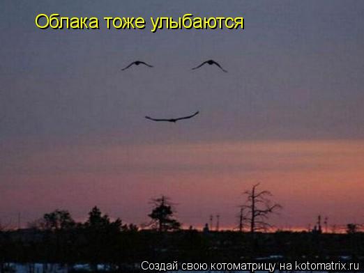 Облака тоже улыбаются... Котоматрица: Облака тоже улыбаются