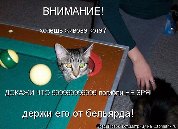 хочешь живова кота? держи его от бельярда! ВНИМАНИЕ! ДОКАЖИ ЧТО 999999999999 погибли НЕ ЗРЯ!... Котоматрица: хочешь живова кота? держи его от бельярда! ВНИМАНИЕ! ДОКАЖИ ЧТО 999999999999 погибли НЕ ЗРЯ!
