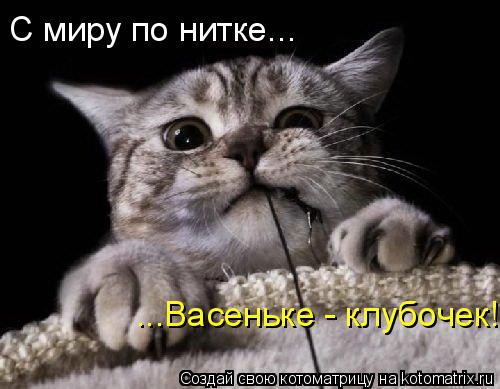 Котоматрица: С миру по нитке... ...Васеньке - клубочек!