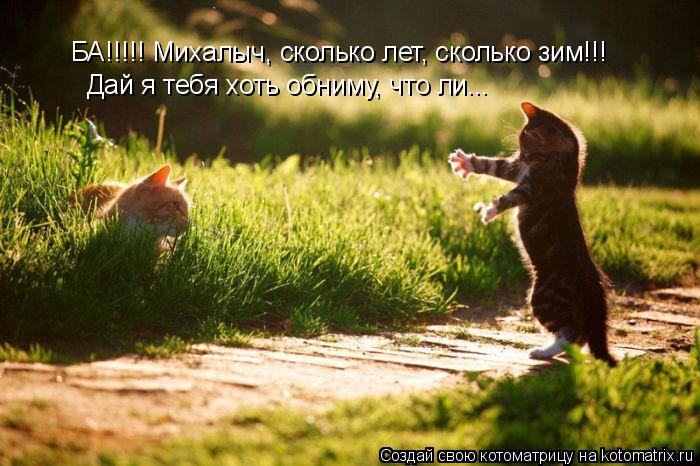 БА!!!!! Михалыч, сколько лет, сколько зим!!! Дай я тебя хоть обниму, что ли...... Котоматрица: БА!!!!! Михалыч, сколько лет, сколько зим!!! Дай я тебя хоть обниму, что ли...