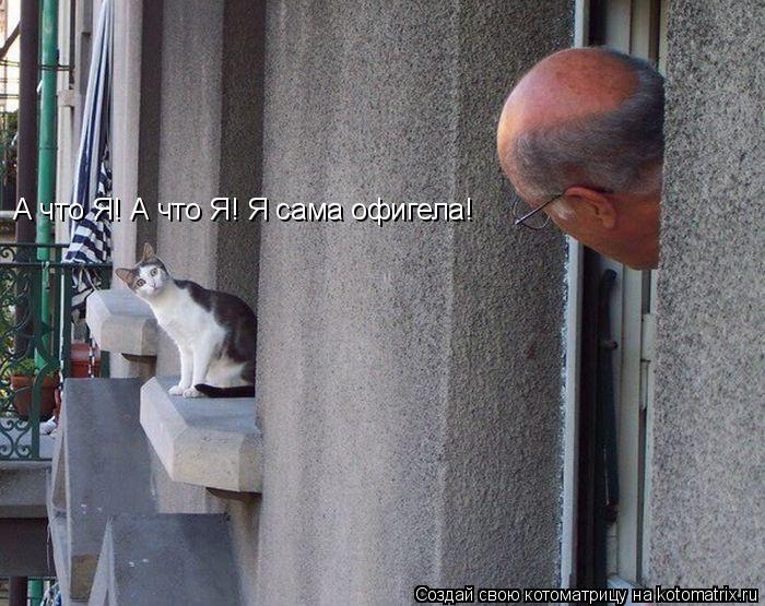 А что Я! А что Я! Я сама офигела!... Котоматрица: А что Я! А что Я! Я сама офигела!