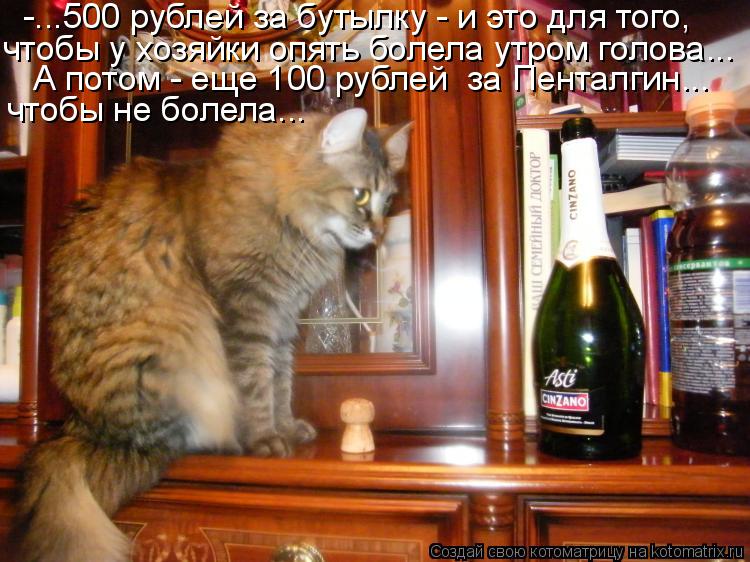 -...500 рублей за бутылку - и это для того, чтобы у хозяйки опять болела утром голова... А потом - ещ... Котоматрица: -...500 рублей за бутылку - и это для того, чтобы у хозяйки опять болела утром голова... А потом - еще 100 рублей за Пенталгин... чтобы не болела...