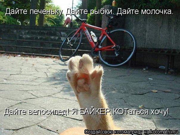 Дайте печеньку. Дайте рыбки. Дайте молочка. Дайте велосипед! Я БАЙКЕР, КОТаться хочу!... Котоматрица: Дайте печеньку. Дайте рыбки. Дайте молочка. Дайте велосипед! Я БАЙКЕР, КОТаться хочу!