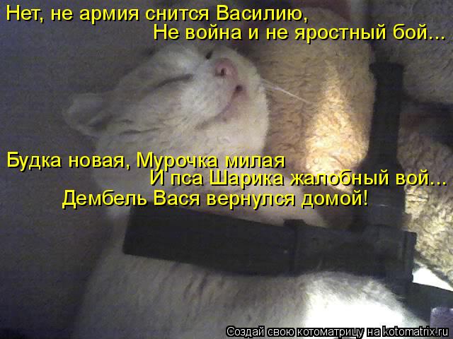Нет, не армия снится Василию, Не война и не яростный бой... Будка новая, Мурочка милая И пса Шарика ж... Котоматрица: Нет, не армия снится Василию, Не война и не яростный бой... Будка новая, Мурочка милая И пса Шарика жалобный вой... Дембель Вася вернулся домой!