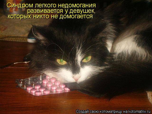 Синдром легкого недомогания развивается у девушек, которых никто не домогается... Котоматрица: Синдром легкого недомогания развивается у девушек, которых никто не домогается