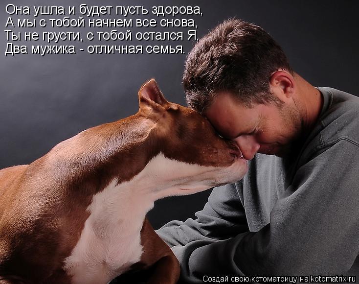 Котоматрица: Она ушла и будет пусть здорова, А мы с тобой начнем все снова, Ты не грусти, с тобой остался Я, Два мужика - отличная семья.