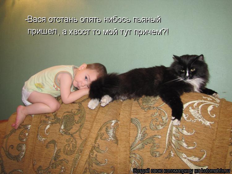 -Вася отстань опять нибось пьяный -Вася отстань опять нибось пьяный пришел , а хвост то мой тут приче... Котоматрица: -Вася отстань опять нибось пьяный -Вася отстань опять нибось пьяный пришел , а хвост то мой тут причем?!
