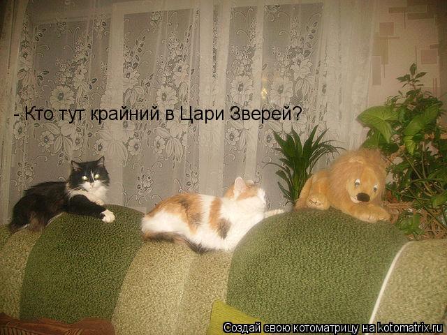 - Кто тут крайний в Цари Зверей?... Котоматрица: - Кто тут крайний в Цари Зверей?