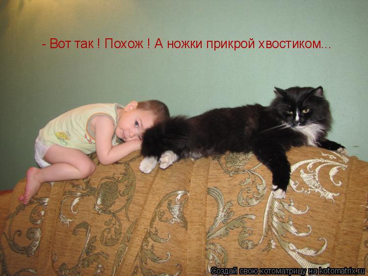 - Вот так ! Похож ! А ножки прикрой хвостиком...... Котоматрица: - Вот так ! Похож ! А ножки прикрой хвостиком...