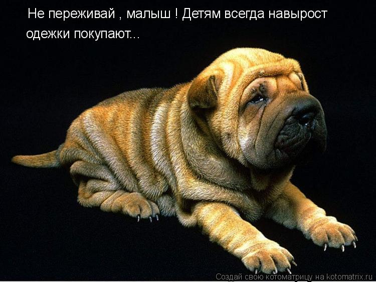 Не переживай , малыш ! Детям всегда навырост одежки покупают...... Котоматрица: Не переживай , малыш ! Детям всегда навырост одежки покупают...