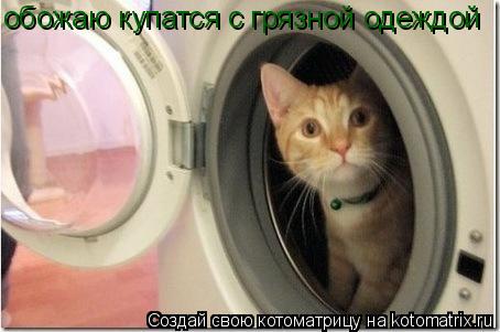 обожаю купатся с грязной одеждой... Котоматрица: обожаю купатся с грязной одеждой
