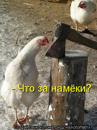 - Что за намёки?... Котоматрица: - Что за намёки?