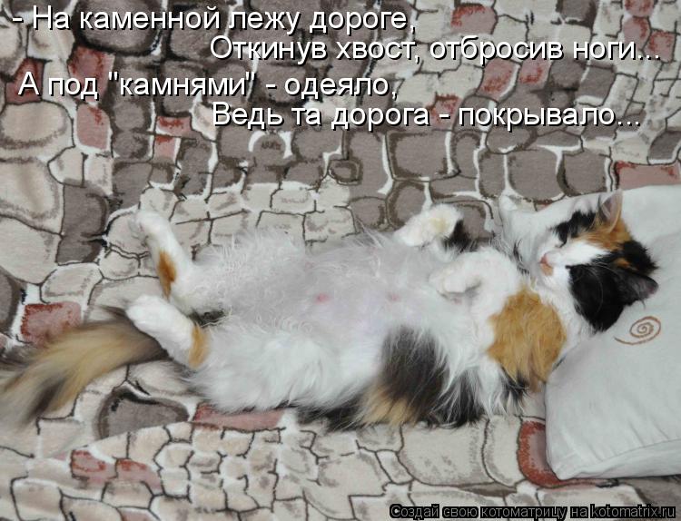 - На каменной лежу дороге, Откинув хвост, отбросив ноги... А под "камнями" - одеяло, Ведь та дорога -... Котоматрица: - На каменной лежу дороге, Откинув хвост, отбросив ноги... А под "камнями" - одеяло, Ведь та дорога - покрывало...