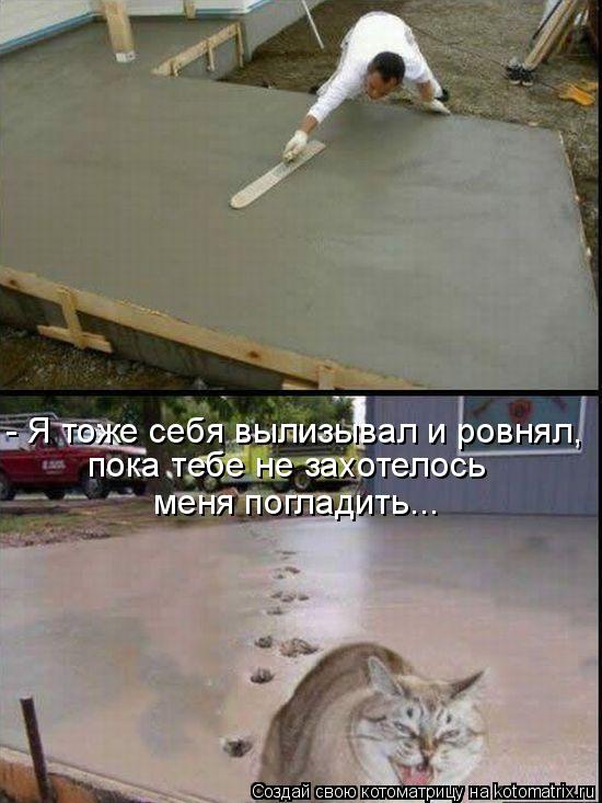 - Я тоже себя вылизывал и ровнял, пока тебе не захотелось меня погладить...... Котоматрица: - Я тоже себя вылизывал и ровнял, пока тебе не захотелось меня погладить...