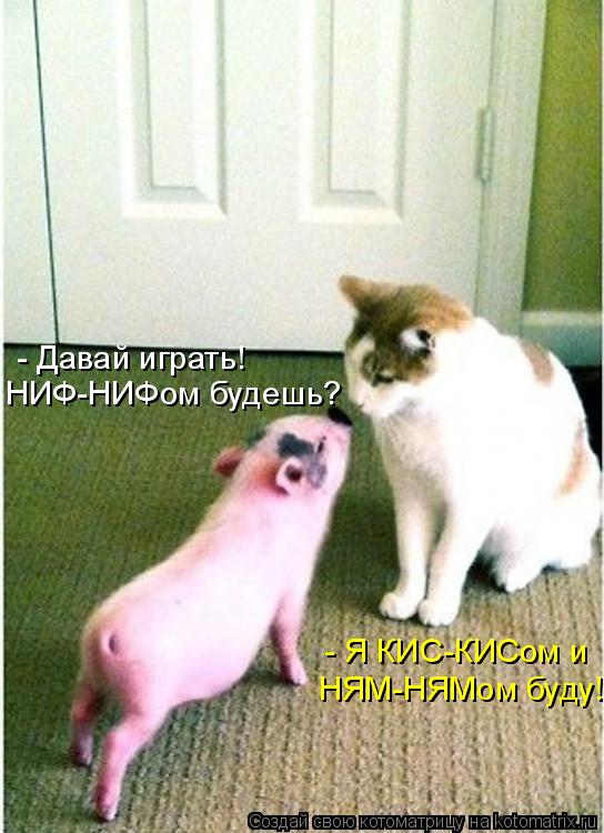 НИФ-НИФом будешь? - Давай играть! НЯМ-НЯМом буду! - Я КИС-КИСом и... Котоматрица: НИФ-НИФом будешь? - Давай играть! НЯМ-НЯМом буду! - Я КИС-КИСом и
