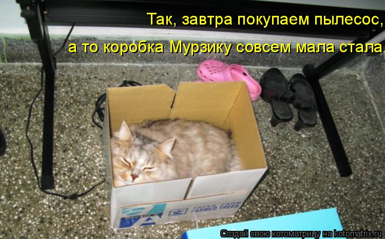 Так, завтра покупаем пылесос, а то коробка Мурзику совсем мала стала.... Котоматрица: Так, завтра покупаем пылесос, а то коробка Мурзику совсем мала стала.