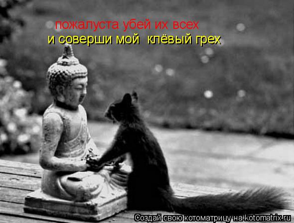 пожалуста убей их всех и соверши мой клёвый грех... Котоматрица: пожалуста убей их всех и соверши мой клёвый грех