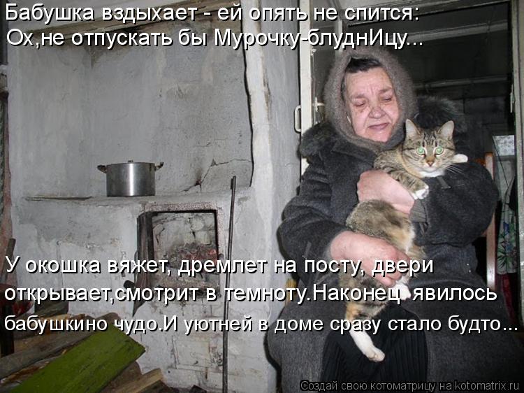 Котоматрица: Бабушка вздыхает - ей опять не спится: Ох,не отпускать бы Мурочку-блуднИцу... У окошка вяжет, дремлет на посту, двери открывает,смотрит в темн