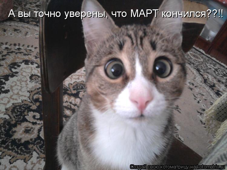 А вы точно уверены, что МАРТ кончился??!!... Котоматрица: А вы точно уверены, что МАРТ кончился??!!