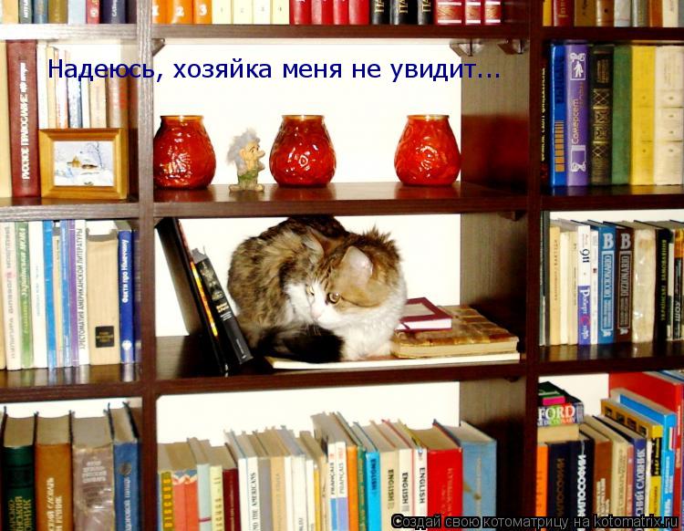 Надеюсь, хозяйка меня не увидит...... Котоматрица: Надеюсь, хозяйка меня не увидит...