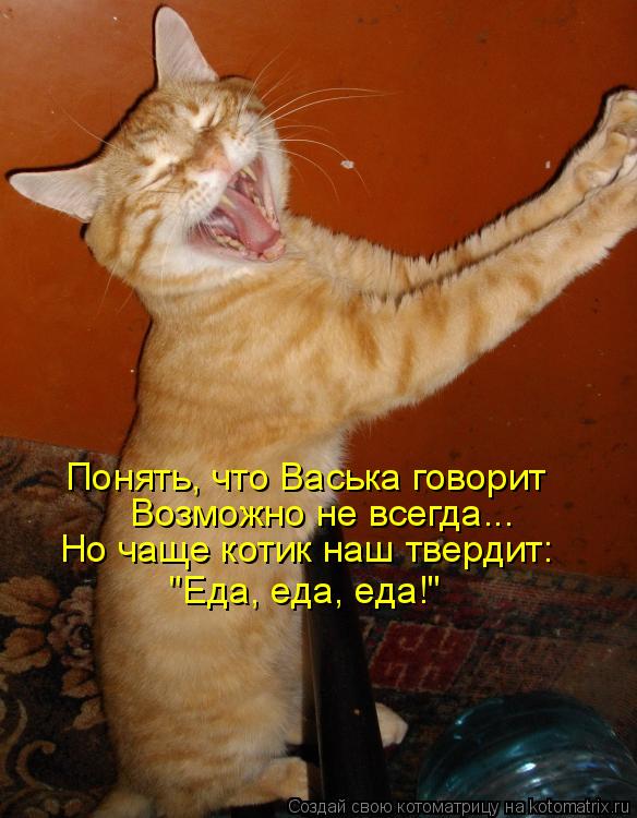 Понять, что Васька говорит Возможно не всегда... Но чаще котик наш твердит: "Еда, еда, еда!"... Котоматрица: Понять, что Васька говорит Возможно не всегда... Но чаще котик наш твердит: "Еда, еда, еда!"