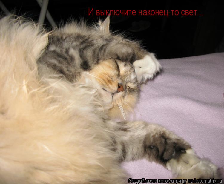 И выключите наконец-то свет...... Котоматрица: И выключите наконец-то свет...