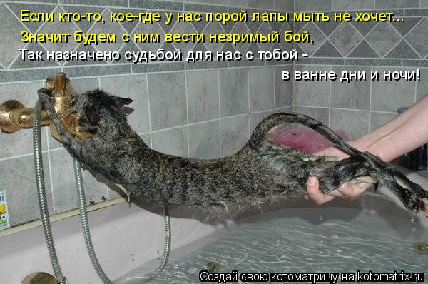 Если кто-то, кое-где у нас порой лапы мыть не хочет... Так назначено судьбой для нас с тобой - в ванн... Котоматрица: Если кто-то, кое-где у нас порой лапы мыть не хочет... Так назначено судьбой для нас с тобой - в ванне дни и ночи! Значит будем с ним вести незри