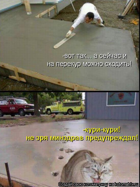 -вот так... а сейчас и на перекур можно сходить! -кури-кури! не зря минздрав предупреждал!... Котоматрица: -вот так... а сейчас и на перекур можно сходить! -кури-кури! не зря минздрав предупреждал!