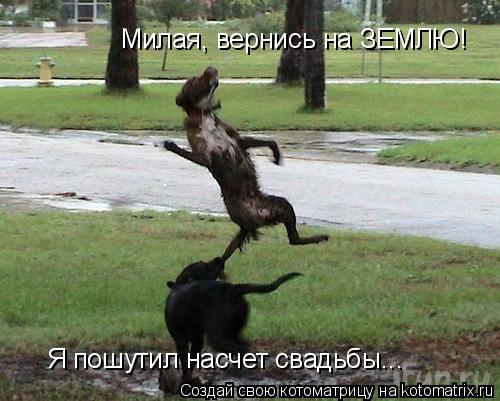 Милая, вернись на ЗЕМЛЮ! Я пошутил насчет свадьбы...... Котоматрица: Милая, вернись на ЗЕМЛЮ! Я пошутил насчет свадьбы...