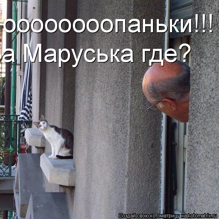 оооооооопаньки!!! а Маруська где?... Котоматрица: оооооооопаньки!!! а Маруська где?