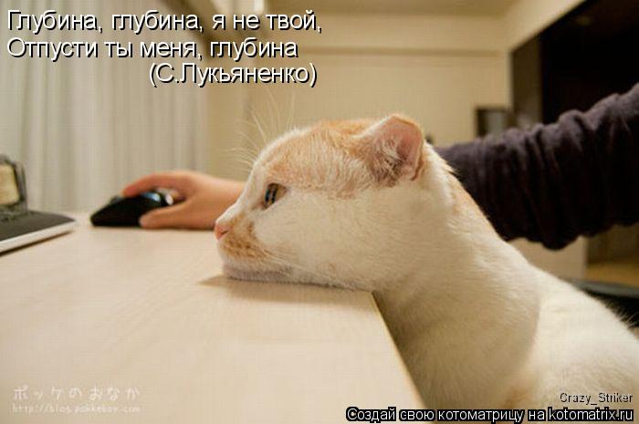 Глубина, глубина, я не твой, Отпусти ты меня, глубина (С.Лукьяненко) Crazy_Striker... Котоматрица: Глубина, глубина, я не твой, Отпусти ты меня, глубина (С.Лукьяненко) Crazy_Striker