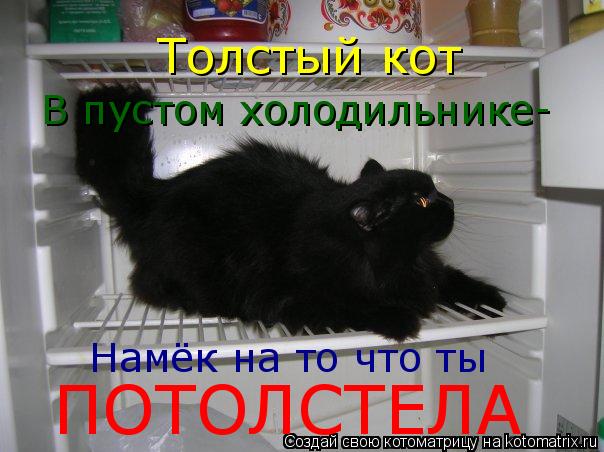 Толстый кот В пустом холодильнике- Намёк на то что ты ПОТОЛСТЕЛА... Котоматрица: Толстый кот В пустом холодильнике- Намёк на то что ты ПОТОЛСТЕЛА