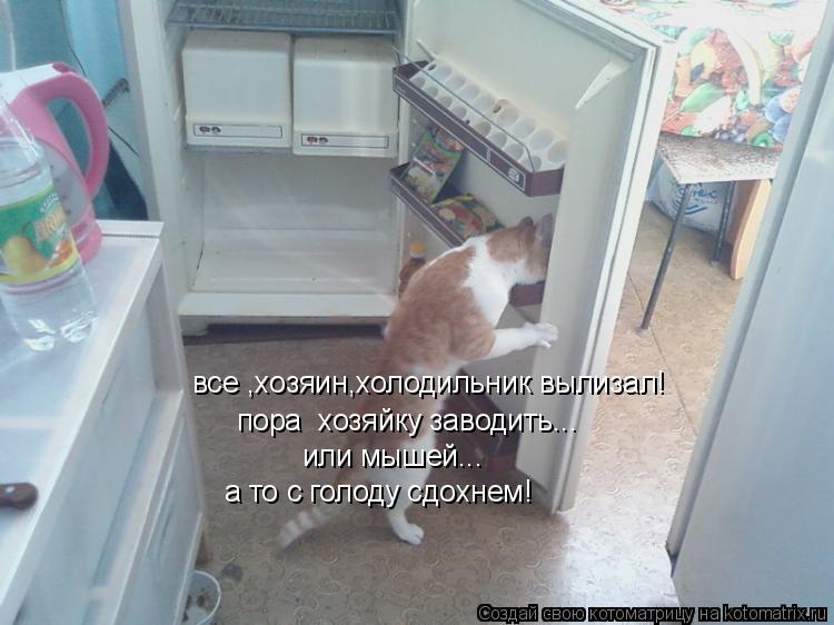 все ,хозяин,холодильник вылизал! пора хозяйку заводить... или мышей... а то с голоду сдохнем!... Котоматрица: все ,хозяин,холодильник вылизал! пора хозяйку заводить... или мышей... а то с голоду сдохнем!