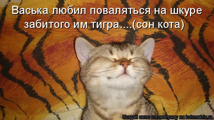 Васька любил поваляться на шкуре забитого им тигра....(сон кота)... Котоматрица: Васька любил поваляться на шкуре забитого им тигра....(сон кота)