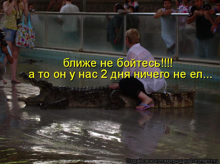 ближе не бойтесь!!!! а то он у нас 2 дня ничего не ел...... Котоматрица: ближе не бойтесь!!!! а то он у нас 2 дня ничего не ел...