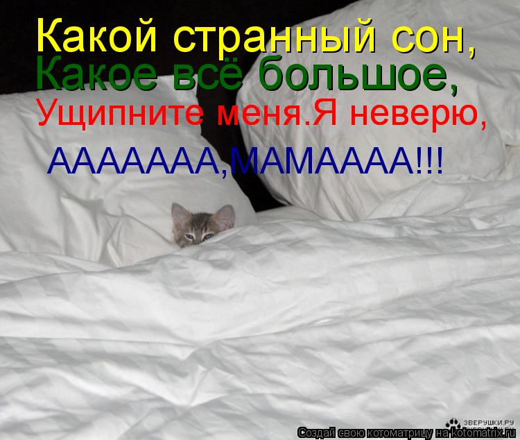 Какой странный сон, Какое всё большое, Ущипните меня.Я неверю, Ущипните меня.Я неверю, ААААААА,МАМААА... Котоматрица: Какой странный сон, Какое всё большое, Ущипните меня.Я неверю, Ущипните меня.Я неверю, ААААААА,МАМАААА!!!