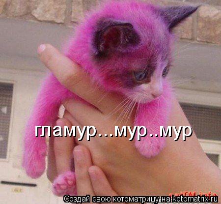 гламур...мур..мур... Котоматрица: гламур...мур..мур