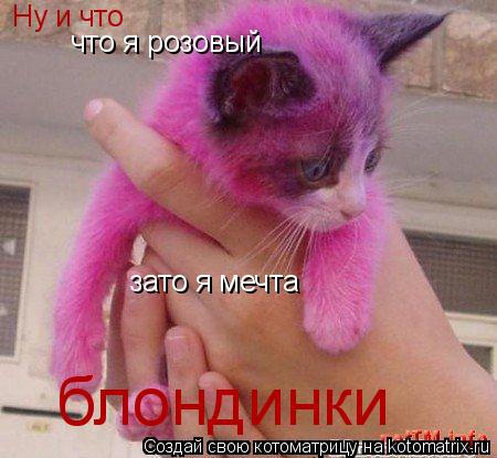 Ну и что что я розовый зато я мечта блондинки... Котоматрица: Ну и что что я розовый зато я мечта блондинки